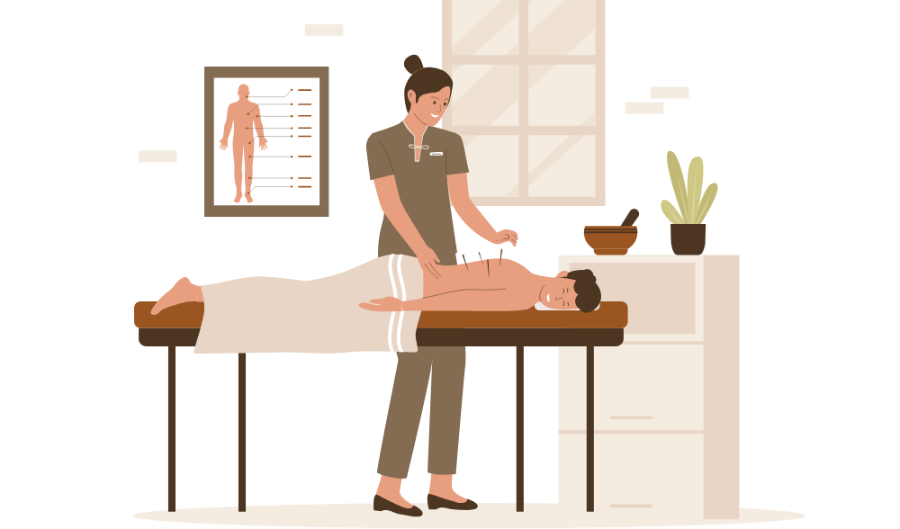 Ngành Y học cổ truyền tại Trường Cao đẳng Dược Hà Nội