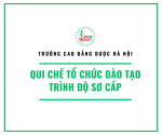 Qui chế tổ chức đào tạo trình độ sơ cấp tại Trường Cao đẳng Dược Hà Nội