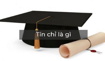 Tín chỉ là gì? Học Cao Đẳng Dược Hà Nội có bao nhiêu tín chỉ?